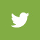 Twitter-Icon